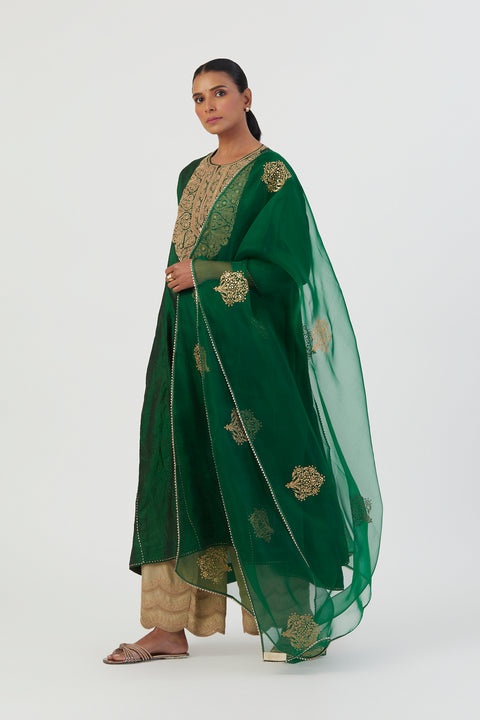Deepa Dupatta-Green