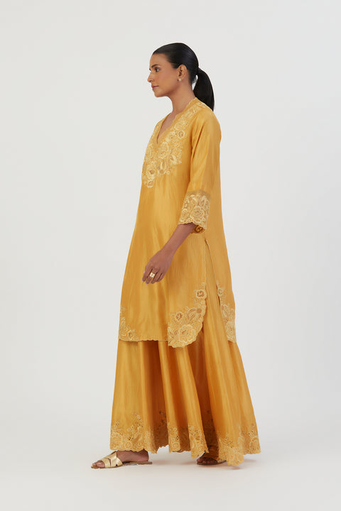 Isha Kurta & Sharara