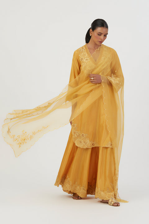 Nira Dupatta-Yellow
