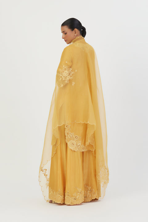 Nira Dupatta-Yellow