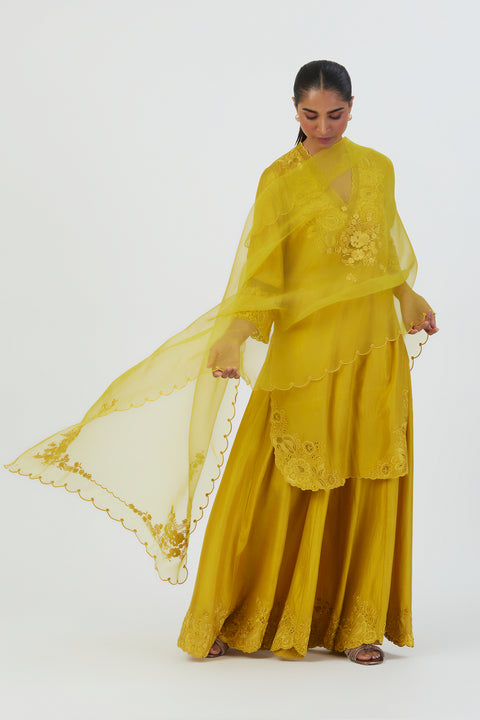 Isha Kurta and Sharara-Lime Green