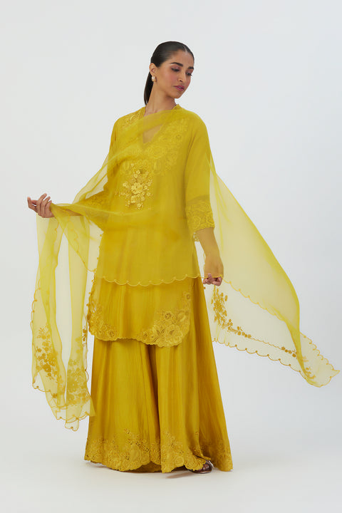 Nira Dupatta-Lime