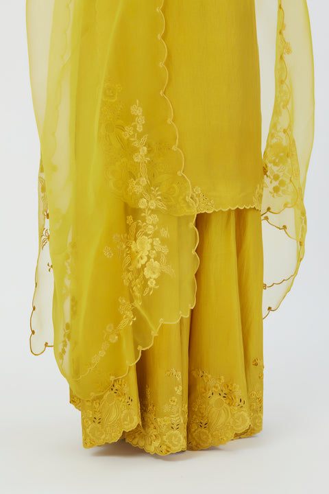 Nira Dupatta-Lime