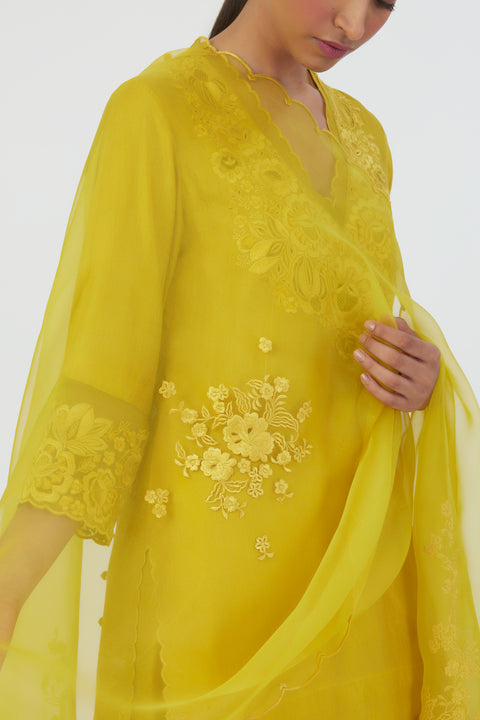 Nira Dupatta-Lime