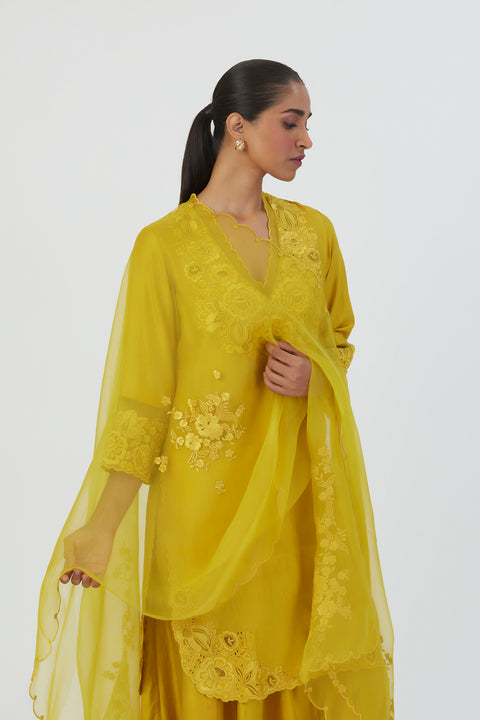 Nira Dupatta-Lime