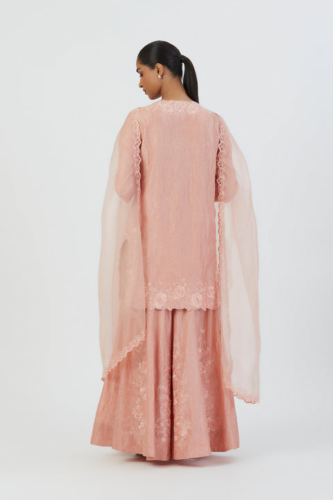 Noori Dupatta-Salmon Pink