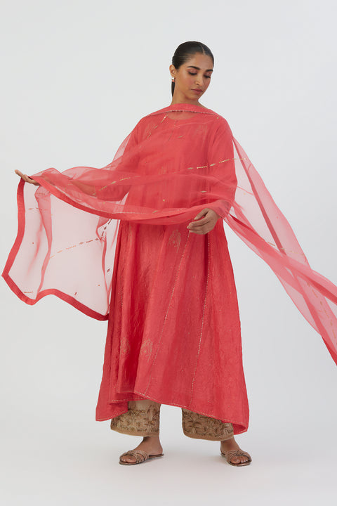 Mayar Dupata-Coral