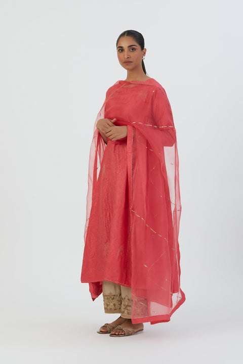 Mayar Dupata-Coral