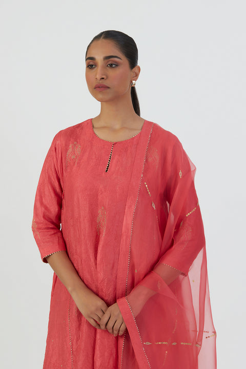 Mayar Dupata-Coral