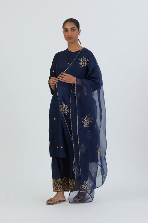 Ira Dupatta-Deep Blue