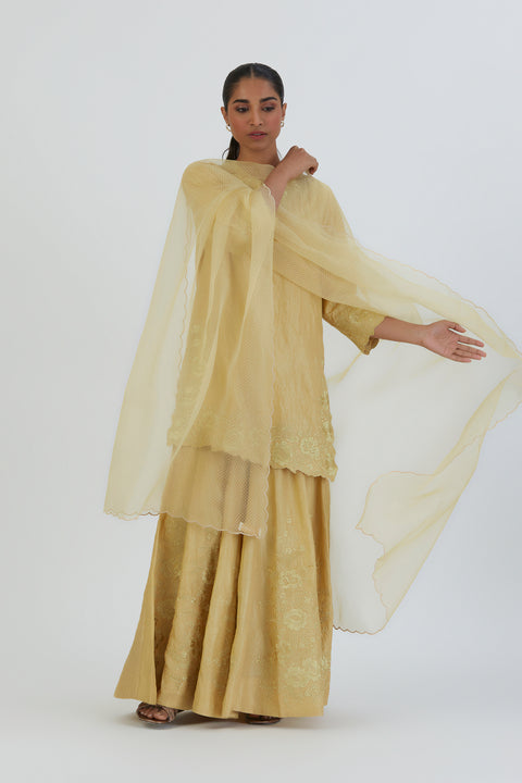 Ela Dupatta-Yellow