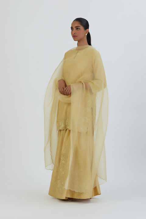 Mira Kurta and Sharara-Light Yellow