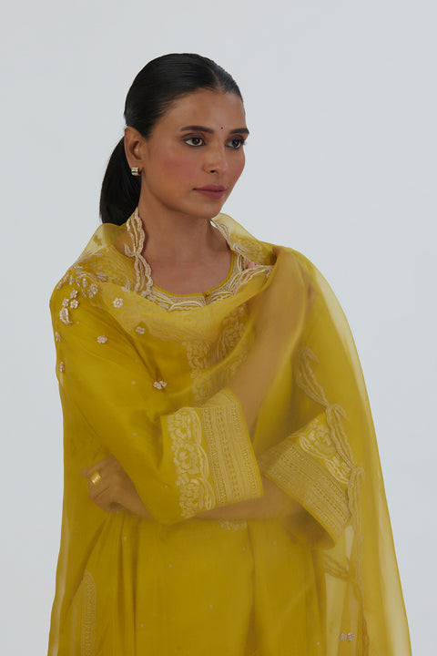 Reeni Dupatta-Lime Yellow