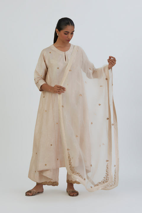 Meer Kurta and Pant-Oats