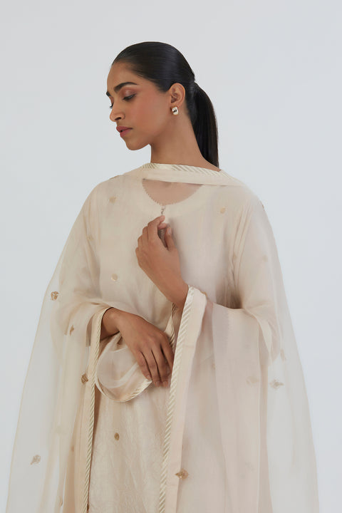 Meer Kurta and Pant-Oats