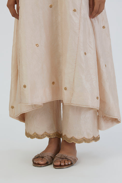 Meer Kurta and Pant-Oats