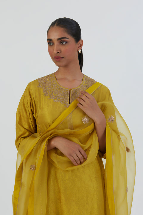 Drishti Kurta and Pant-Lime Green