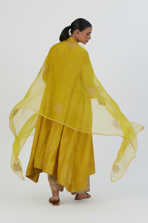 Deepa Dupatta-Lime Green