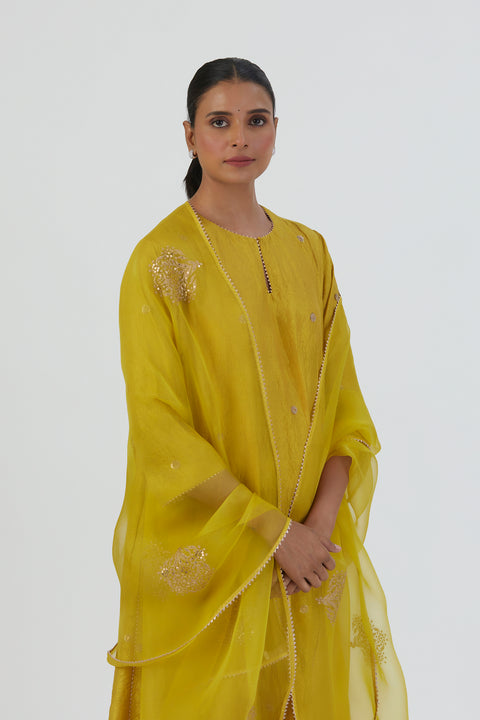 Deepa Dupatta-Lime Green