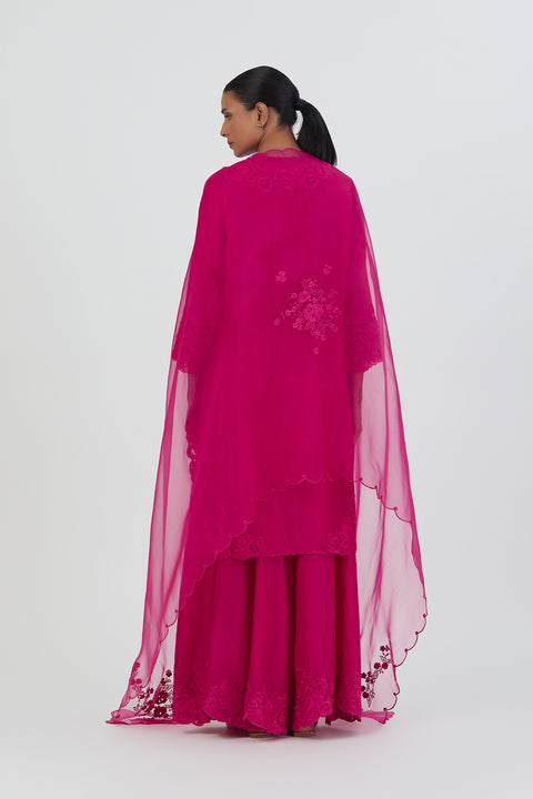 Nira Dupatta-Rani Pink