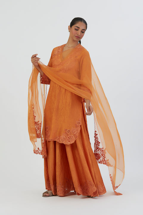 Arshi Dupatta-Orange