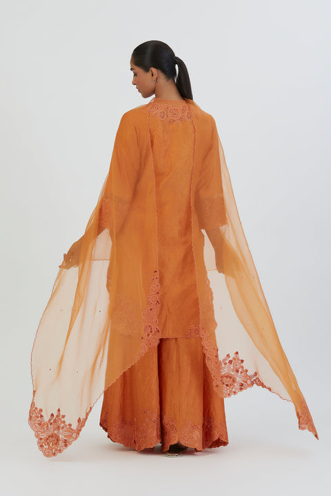 Arshi Dupatta-Orange