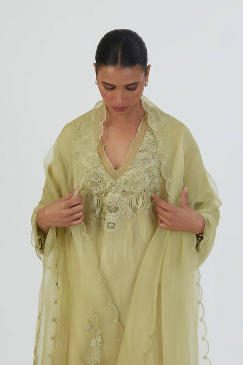 Nira Dupatta-Sea Green
