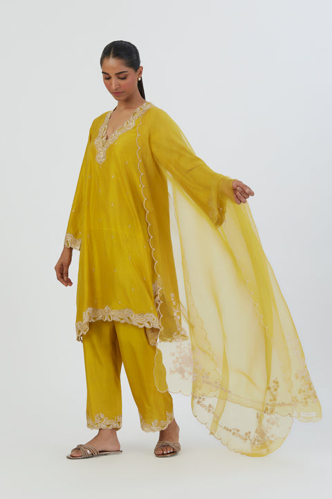 Nira Dupatta-Lime Yellow