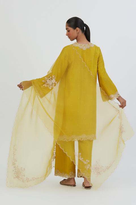 Nira Dupatta-Lime Yellow