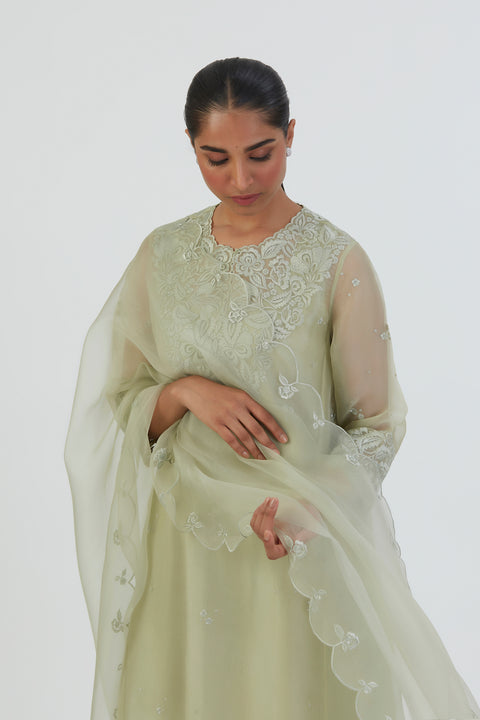 Nira Dupatta-Mint Green