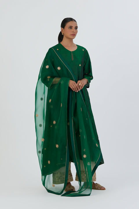 Meer Kurta and Pant-Green