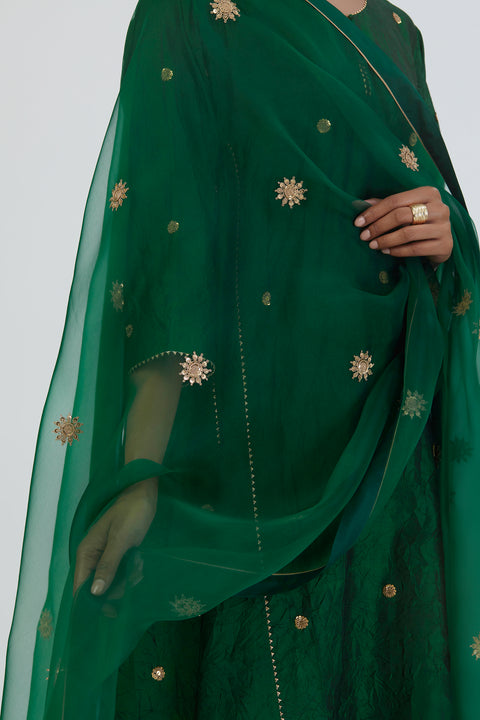 Sitara Dupatta-Green