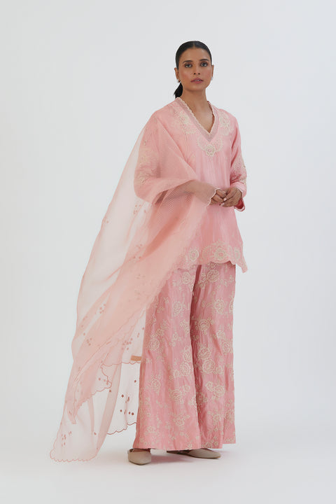 Seerat Kurta and Pant-Light Pink