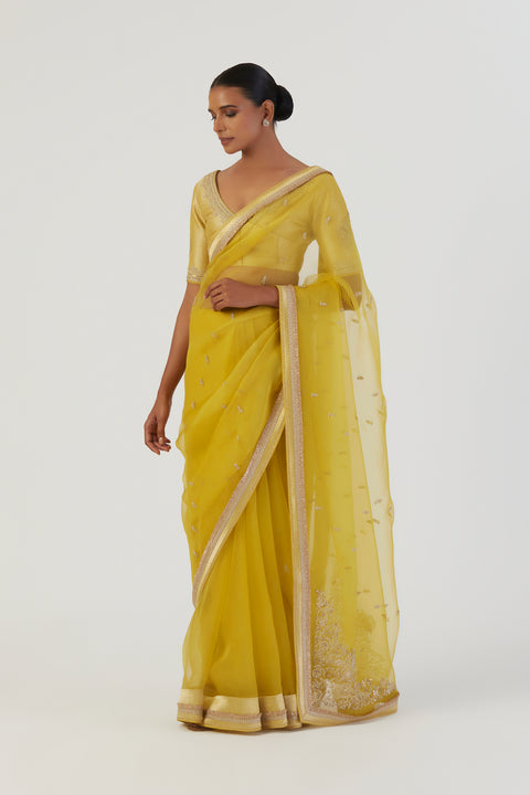 Gia Saree-Lime Green