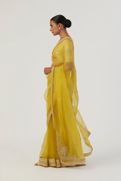 Gia Saree-Lime Green