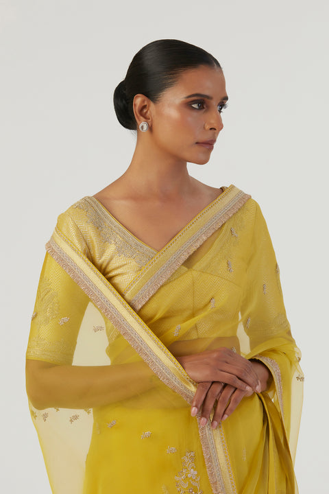 Gia Saree-Lime Green