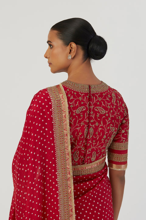 Luni Saree-Red