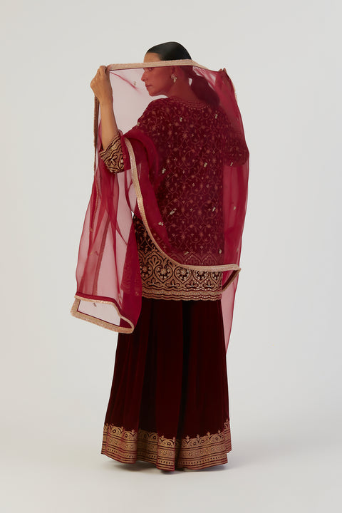 Nia Dupatta-Deep Red