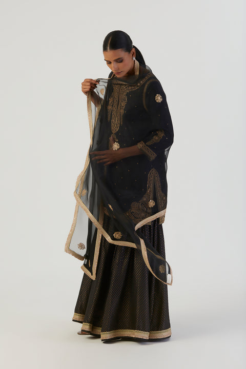Raga Dupatta-Black