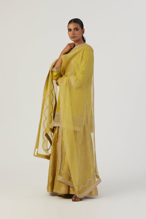 Bela Dupatta-Lime Green