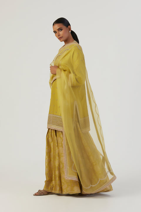 Iqra Kurta and Sharara-Lime Green