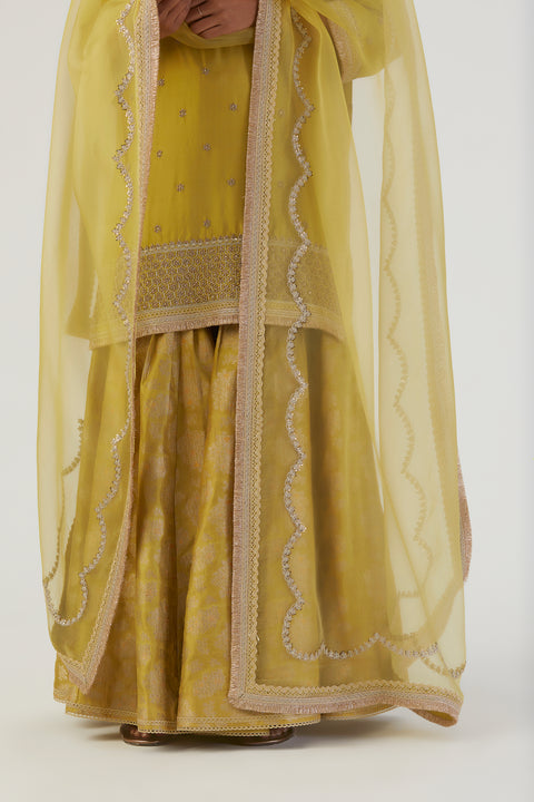 Bela Dupatta-Lime Green