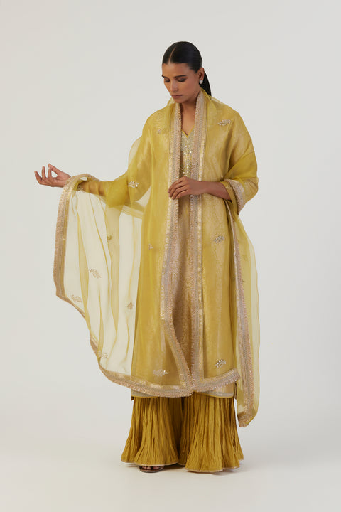 Kaari Dupatta-Lime Green
