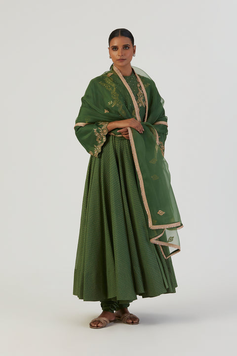 Era Anarkali-Green