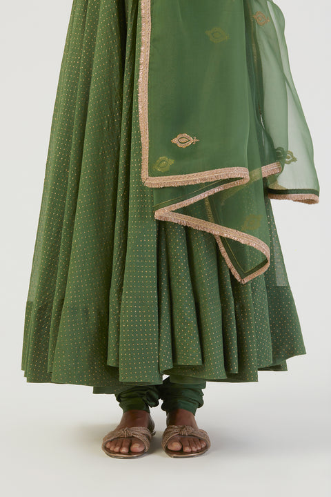 Raga Dupatta-Green