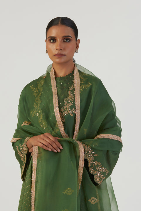 Raga Dupatta-Green