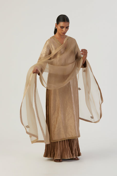 Toor Dupatta-Beige