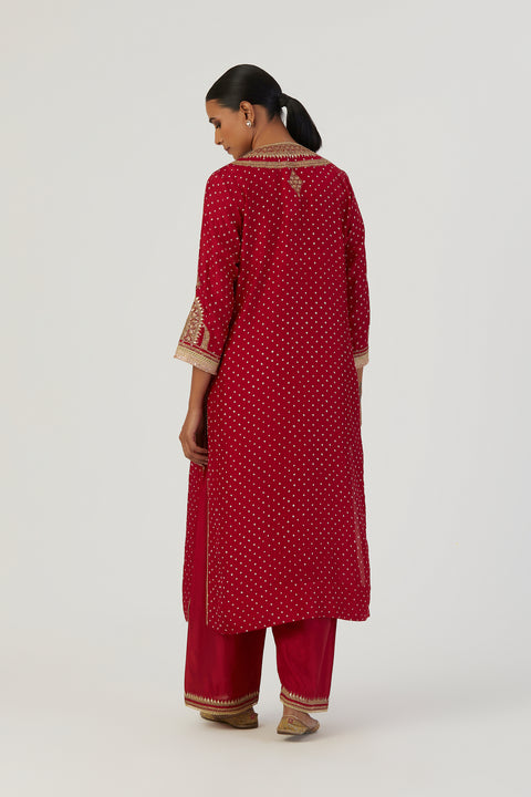 Purva Kurta and Pant-Red