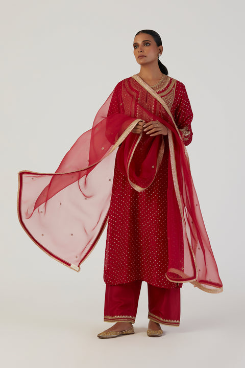 Purva Kurta and Pant-Red