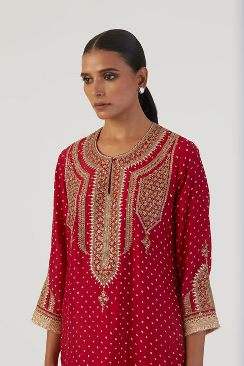 Purva Kurta and Pant-Red
